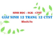 Giải Sinh 12 trang 12 Chân trời Sáng tạo